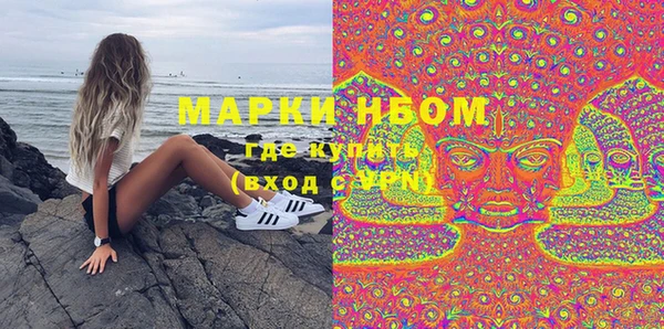 PSILOCYBIN Богданович