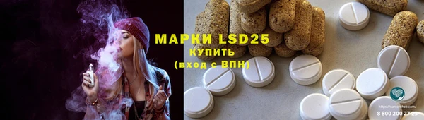 шишки Богородск