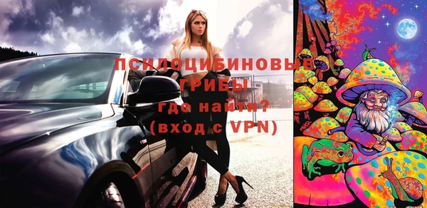 стафф Богородицк
