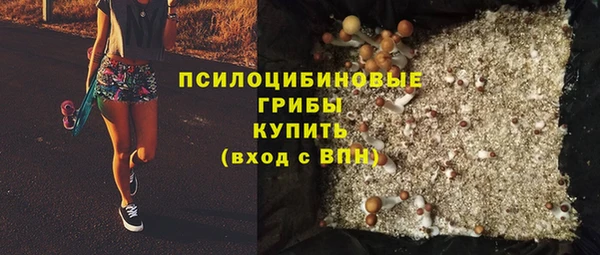 шишки Богородск