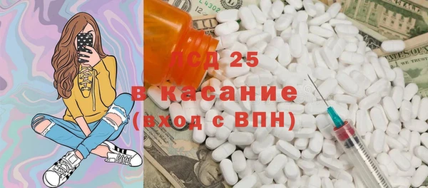 PSILOCYBIN Богданович