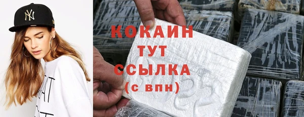 шишки Богородск