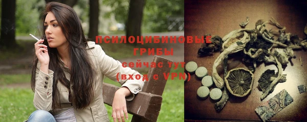 стафф Богородицк