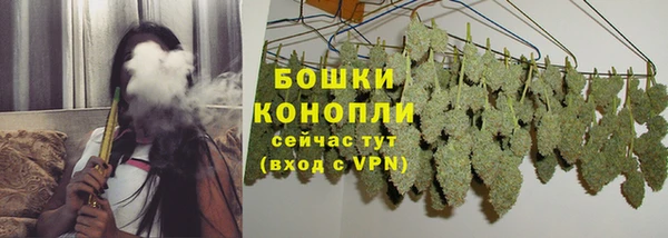 apvp Белокуриха