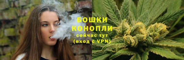 шишки Богородск