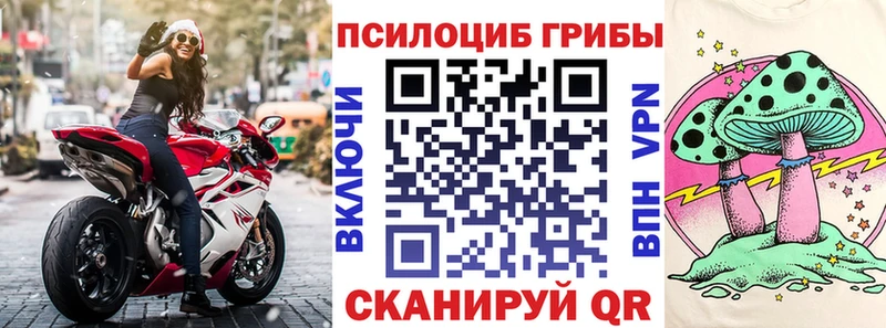 Псилоцибиновые грибы Magic Shrooms Купить Людиново