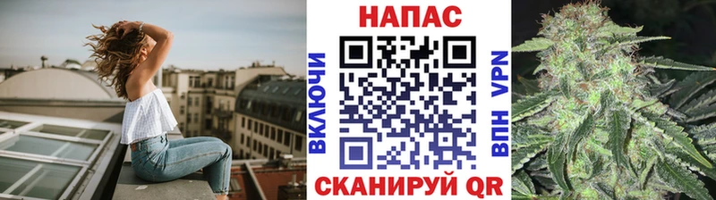 Купить  Людиново  Конопля MAZAR 
